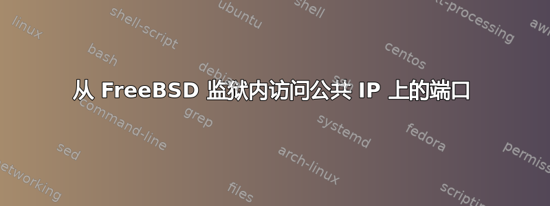 从 FreeBSD 监狱内访问公共 IP 上的端口