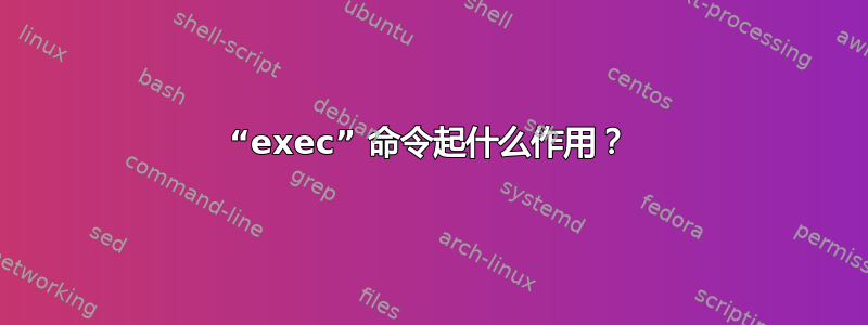 “exec” 命令起什么作用？