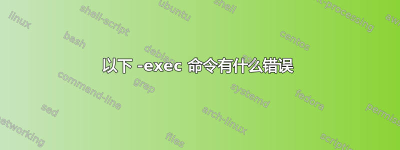 以下 -exec 命令有什么错误