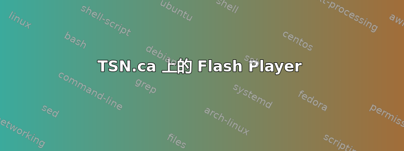 TSN.ca 上的 Flash Player