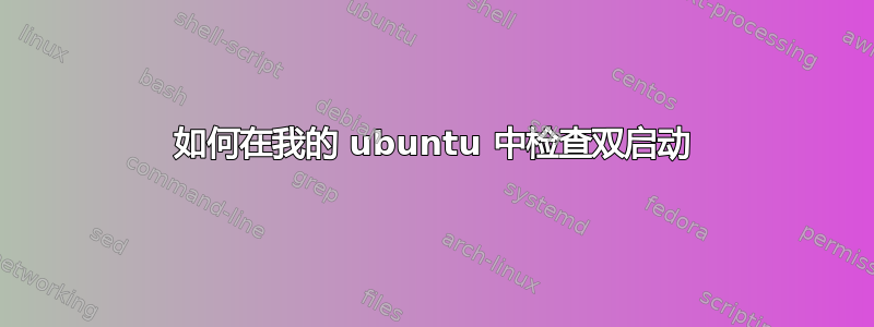 如何在我的 ubuntu 中检查双启动