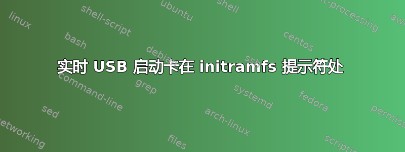 实时 USB 启动卡在 initramfs 提示符处