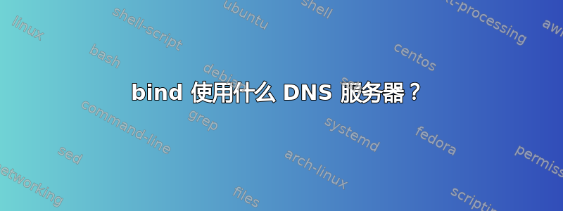 bind 使用什么 DNS 服务器？