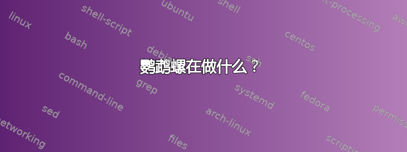 鹦鹉螺在做什么？