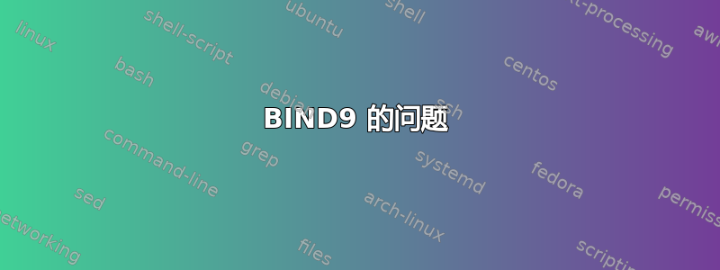 BIND9 的问题