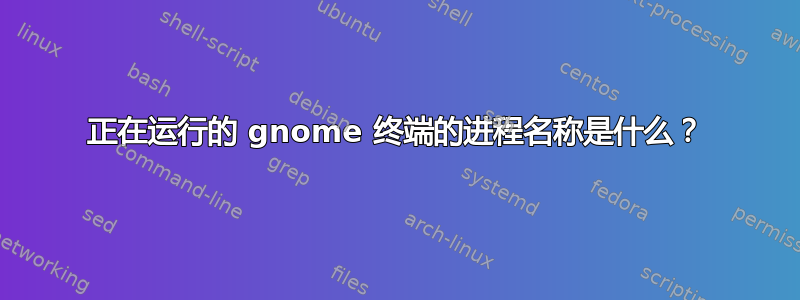 正在运行的 gnome 终端的进程名称是什么？