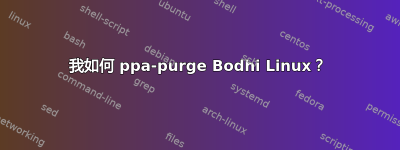 我如何 ppa-purge Bodhi Linux？