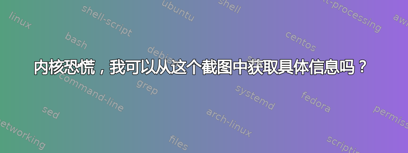 内核恐慌，我可以从这个截图中获取具体信息吗？