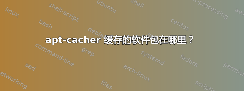 apt-cacher 缓存的软件包在哪里？