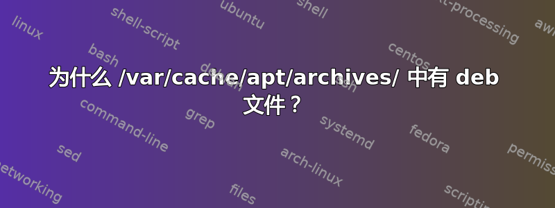 为什么 /var/cache/apt/archives/ 中有 deb 文件？