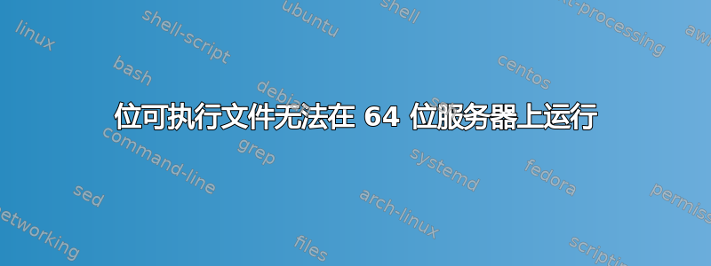 64 位可执行文件无法在 64 位服务器上运行