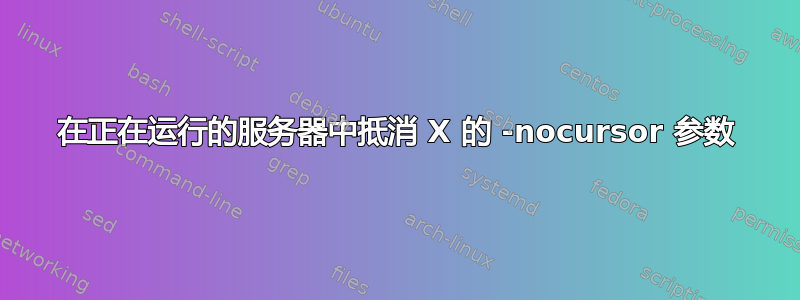 在正在运行的服务器中抵消 X 的 -nocursor 参数