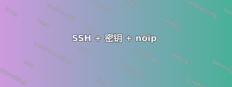 SSH + 密钥 + noip