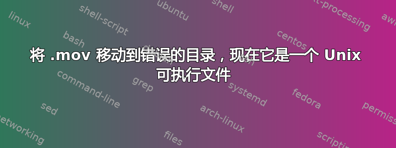 将 .mov 移动到错误的目录，现在它是一个 Unix 可执行文件 