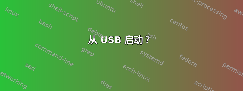 从 USB 启动？