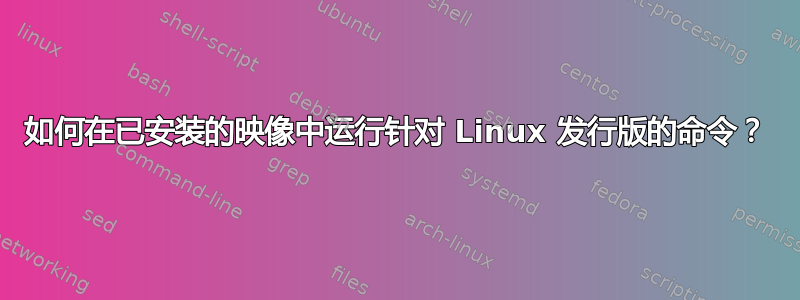 如何在已安装的映像中运行针对 Linux 发行版的命令？