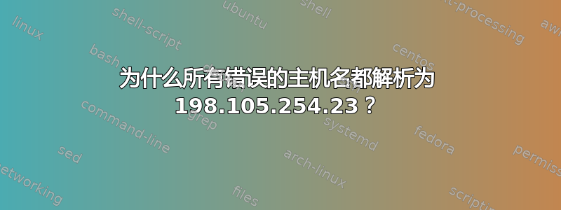 为什么所有错误的主机名都解析为 198.105.254.23？