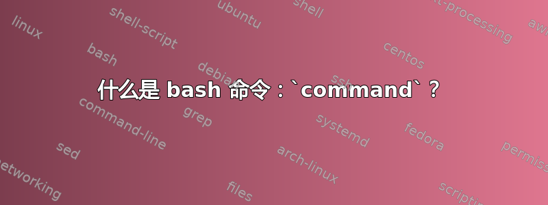 什么是 bash 命令：`command`？