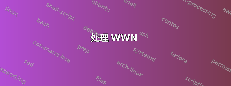 处理 WWN