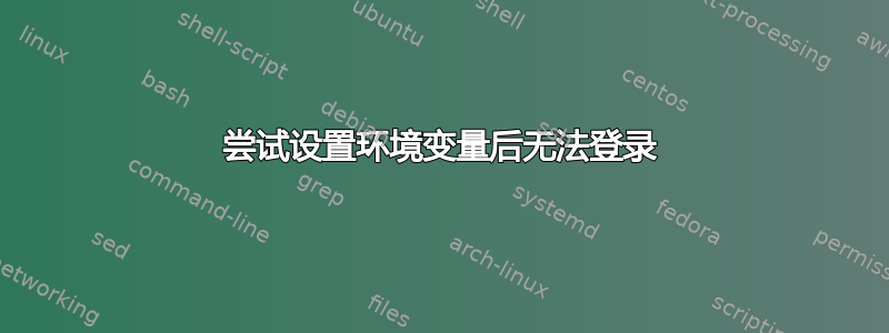 尝试设置环境变量后无法登录