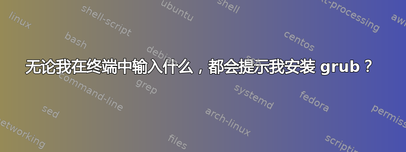 无论我在终端中输入什么，都会提示我安装 grub？