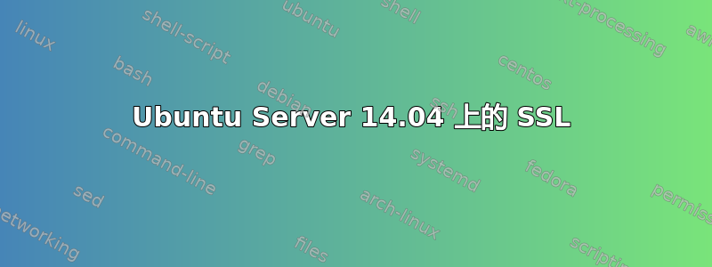 Ubuntu Server 14.04 上的 SSL