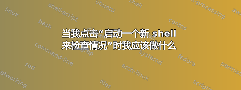 当我点击“启动一个新 shell 来检查情况”时我应该做什么