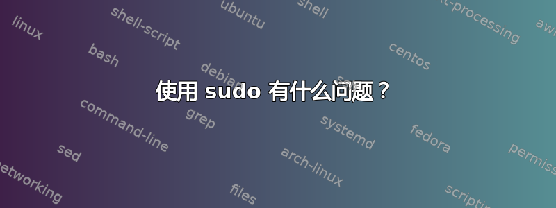 使用 sudo 有什么问题？