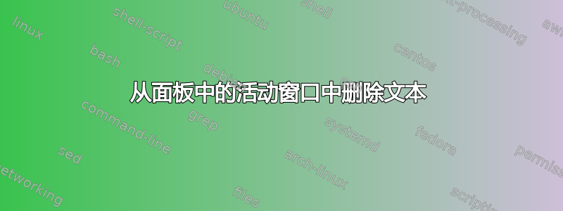 从面板中的活动窗口中删除文本