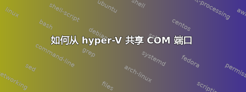 如何从 hyper-V 共享 COM 端口