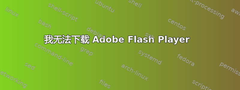 我无法下载 Adob​​e Flash Player 