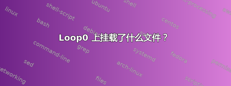 Loop0 上挂载了什么文件？