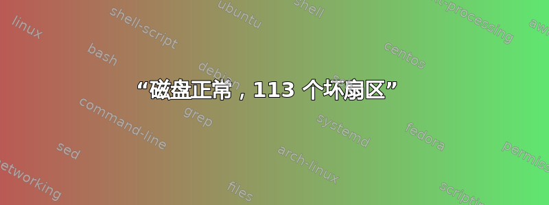 “磁盘正常，113 个坏扇区” 