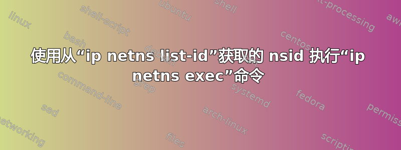 使用从“ip netns list-id”获取的 nsid 执行“ip netns exec”命令