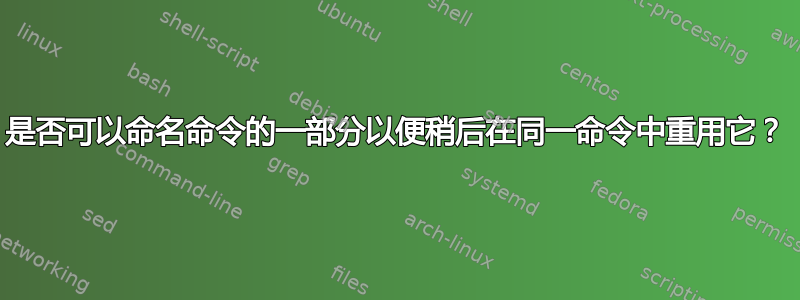 是否可以命名命令的一部分以便稍后在同一命令中重用它？