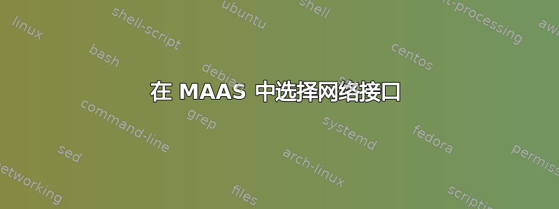 在 MAAS 中选择网络接口