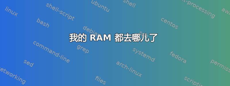 我的 RAM 都去哪儿了