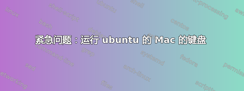 紧急问题：运行 ubuntu 的 Mac 的键盘