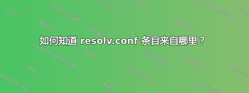 如何知道 resolv.conf 条目来自哪里？