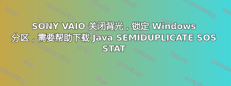 SONY VAIO 关闭背光，锁定 Windows 分区，需要帮助下载 Java SEMIDUPLICATE SOS STAT