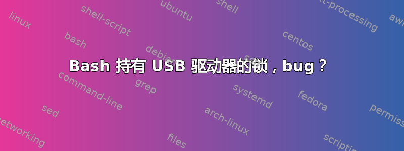 Bash 持有 USB 驱动器的锁，bug？