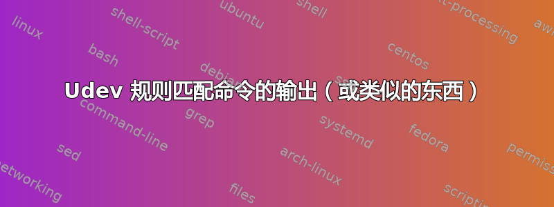 Udev 规则匹配命令的输出（或类似的东西）