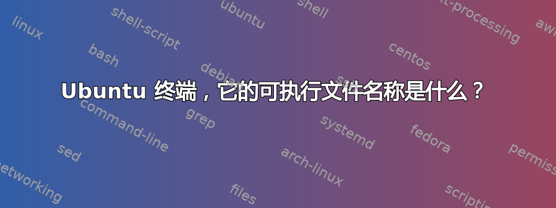 Ubuntu 终端，它的可执行文件名称是什么？