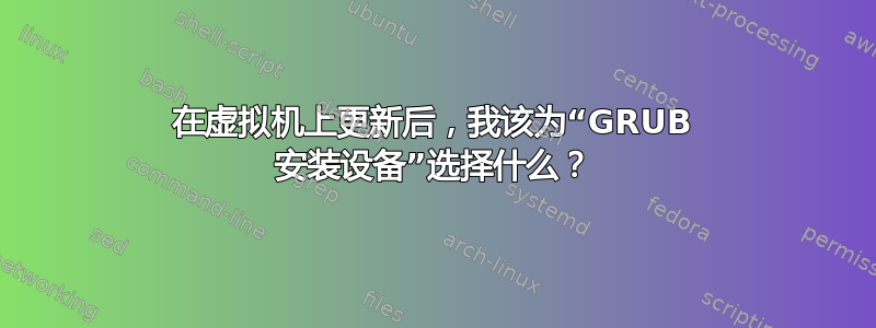 在虚拟机上更新后，我该为“GRUB 安装设备”选择什么？