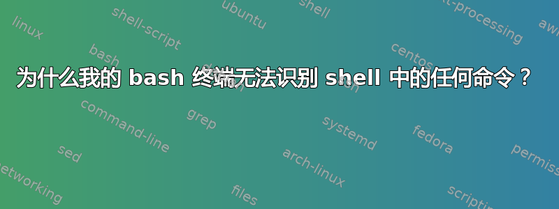 为什么我的 bash 终端无法识别 shell 中的任何命令？ 