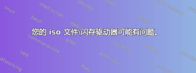 您的 iso 文件\闪存驱动器可能有问题。