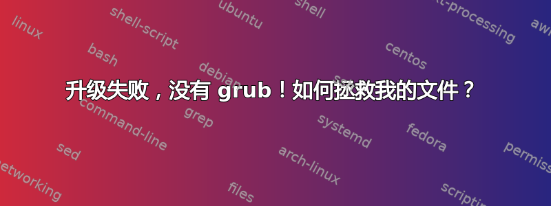 升级失败，没有 grub！如何拯救我的文件？