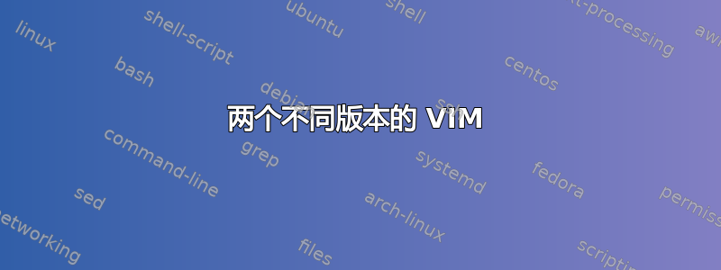 两个不同版本的 VIM