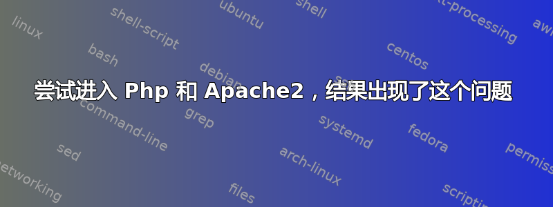 尝试进入 Php 和 Apache2，结果出现了这个问题