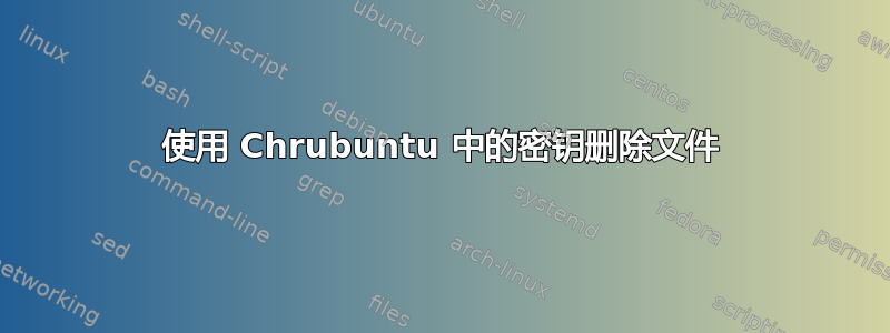 使用 Chrubuntu 中的密钥删除文件